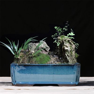 Vasi lustrati ceramici 30.3cmx21.6cmx10.5cm blu dei bonsai